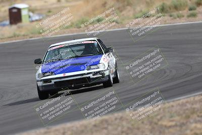 media/May-03-2025-Lucky Dog Racing (Sat) [[206de64b9d]]/Turn 4 A (3pm-4pm)/
